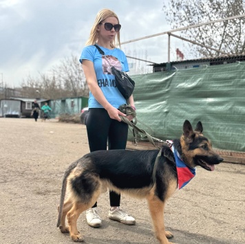 Собаки в добрые руки - Валет - 2