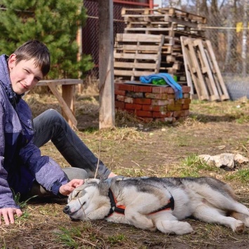 Собаки в добрые руки - Сэм - 2