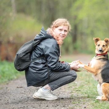 Собаки в добрые руки - Люся - 2