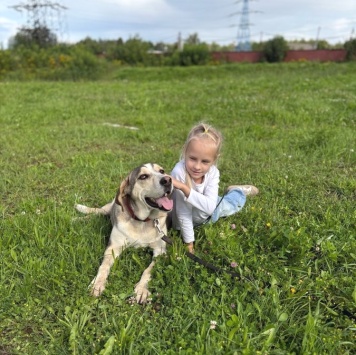 Собаки в добрые руки - Рэй - 2