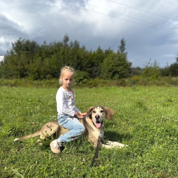 Собаки в добрые руки - Рэй - 3