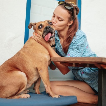 Собаки в добрые руки - Джуди - 1