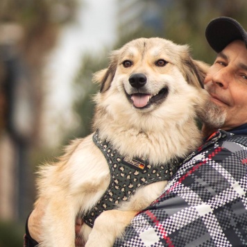 Собаки в добрые руки - Белкин - 2