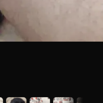 Собаки в добрые руки - Малыш