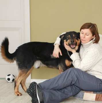 Собаки в добрые руки - Баграй