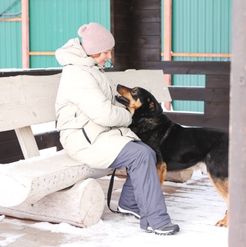 Собаки в добрые руки - Баграй - 1