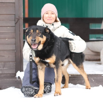 Собаки в добрые руки - Баграй - 2