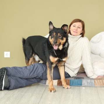 Собаки в добрые руки - Баграй - 3