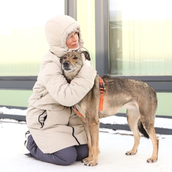 Собаки в добрые руки - Морра