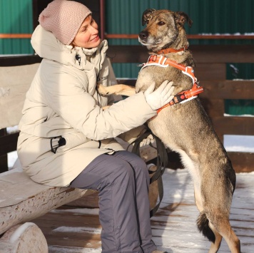 Собаки в добрые руки - Морра - 1