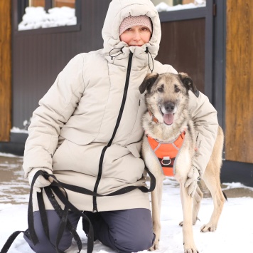 Собаки в добрые руки - Виста - 2