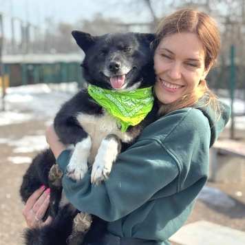 Собаки в добрые руки - Уголёк - 2