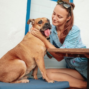 Собаки в добрые руки - Джуди - 1