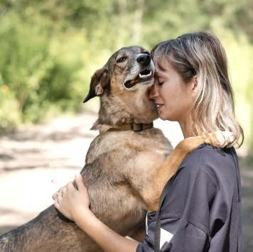 Собаки в добрые руки - Боня - 1