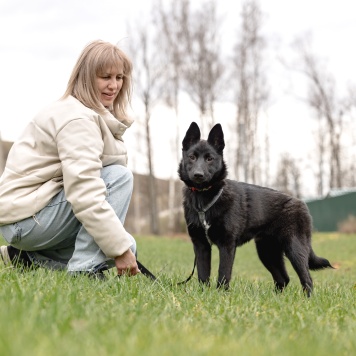 Собаки в добрые руки - Мята - 2