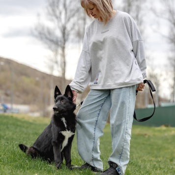 Собаки в добрые руки - Лавруша - 3