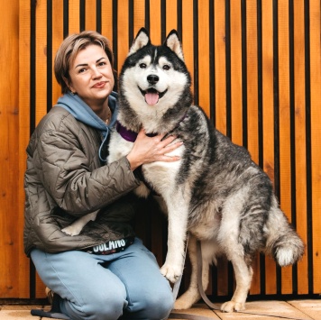 Собаки в добрые руки - Канзи - 2